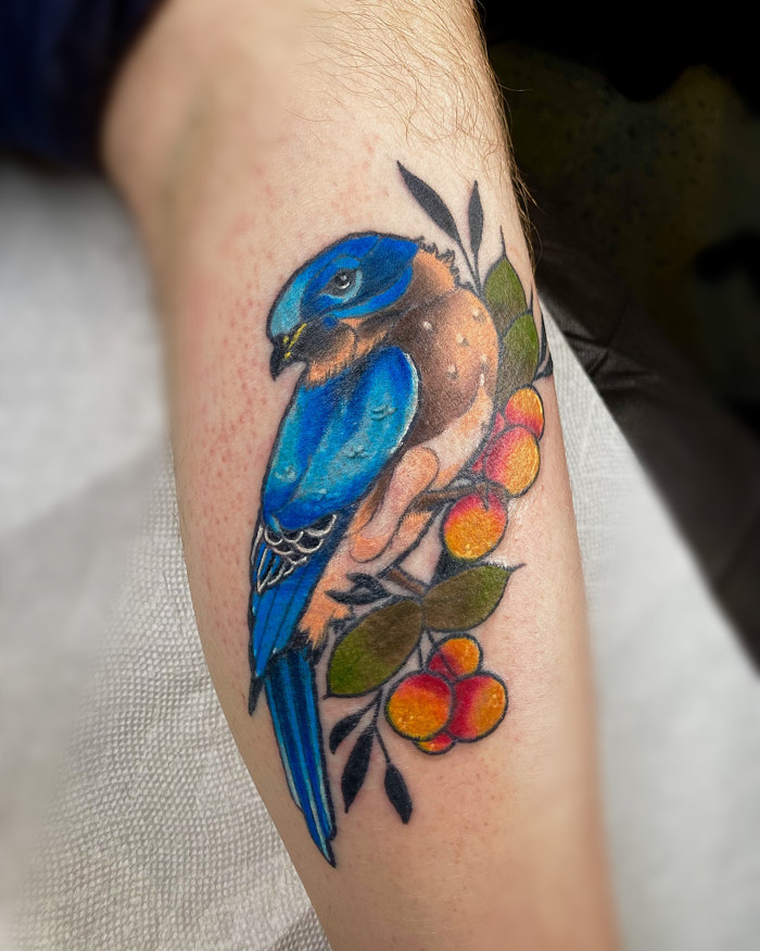 Eastern blue bird tattoo by Anna Saveria